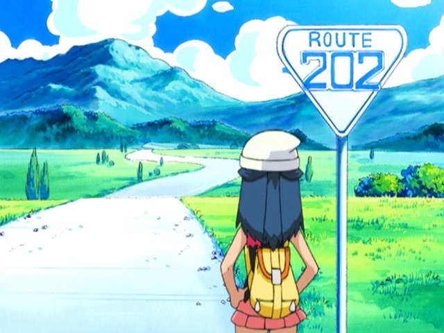 Route 202 4
