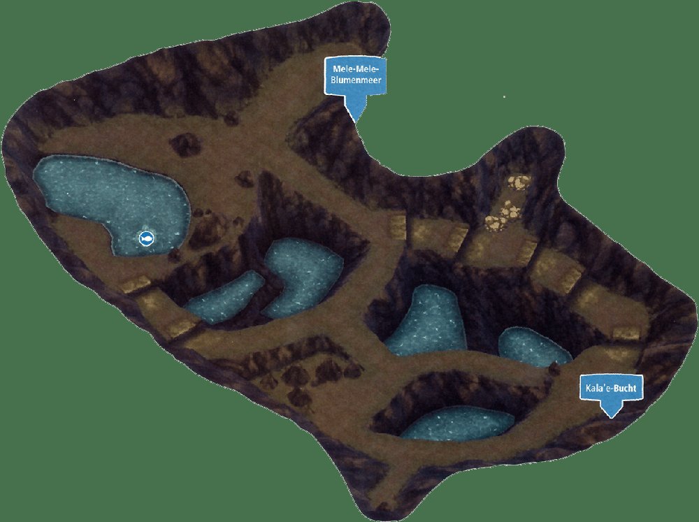 Seaward Cave 2