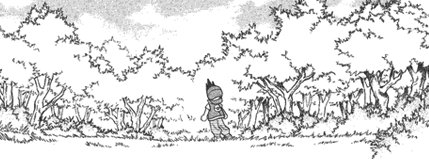 Viridian Forest 5