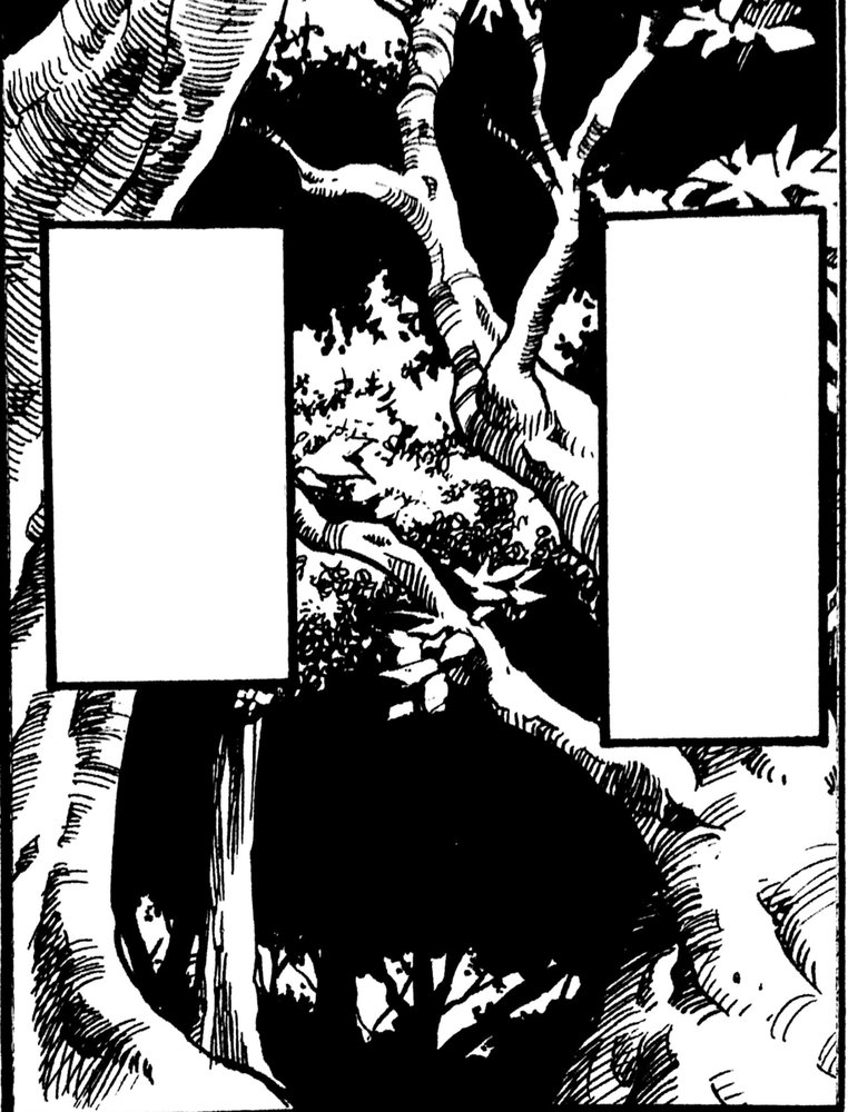 Eterna Forest 13