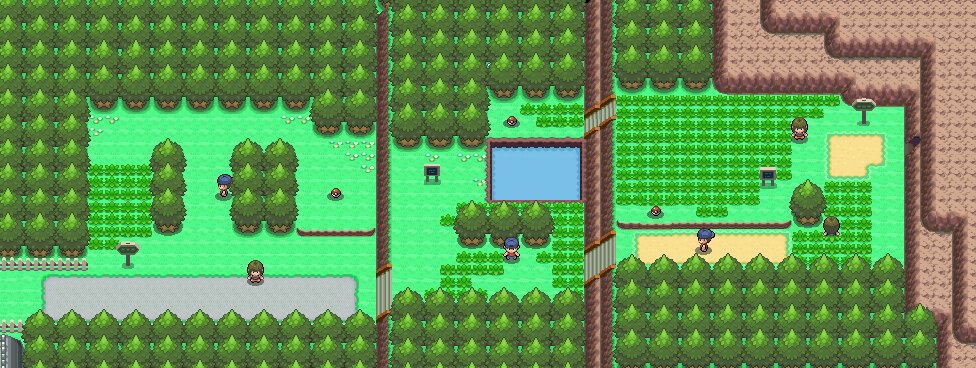 Route 203 3