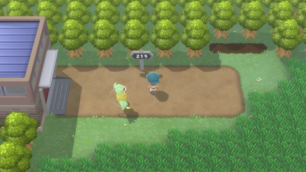 Route 213 1
