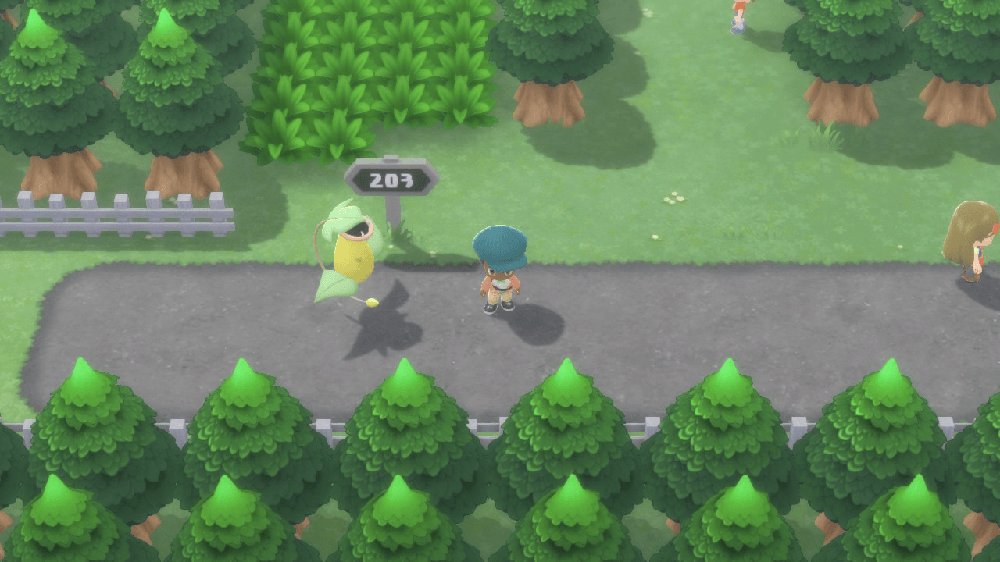 Route 203 1