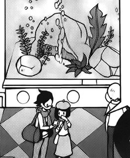 Ambrette Aquarium 3