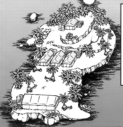 Exeggutor Island 6