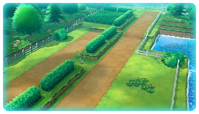 Route 14 1