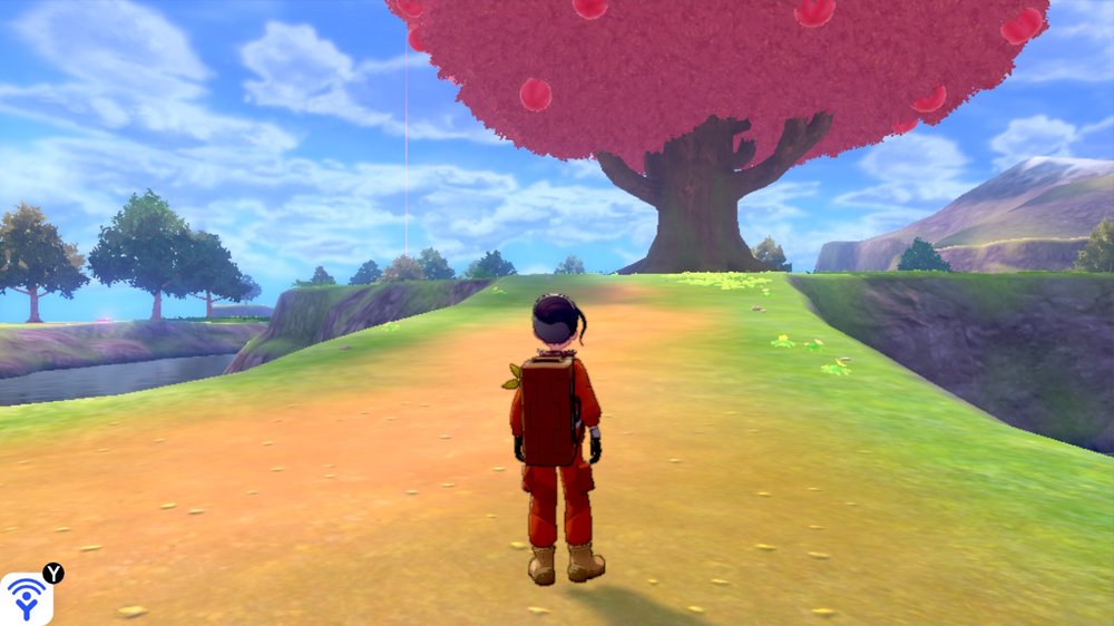 Dyna Tree Hill 1