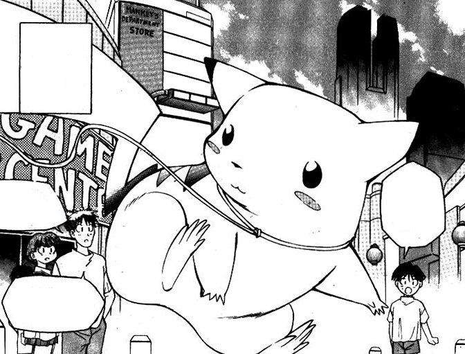 Viridian City 25