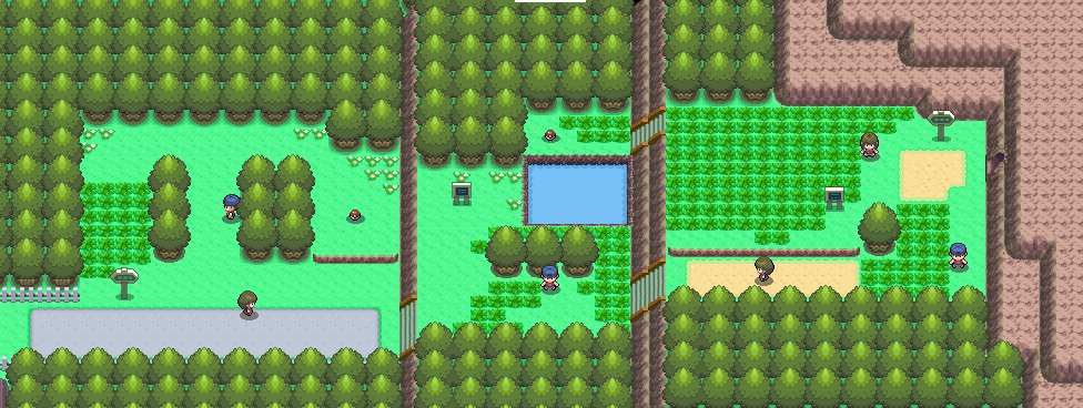 Route 203 2