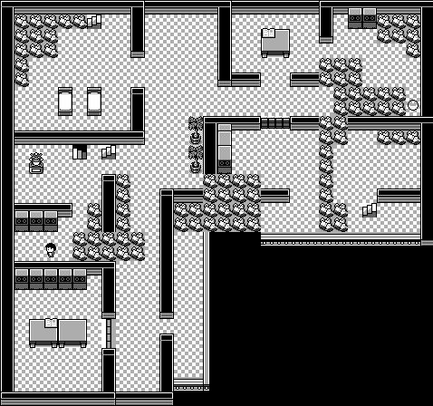 Pokémon Mansion 5