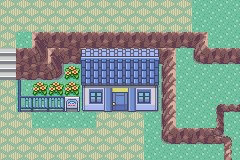 Lilycove City 5