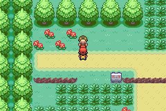 Route 1 2