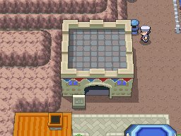 Sunyshore Market 3