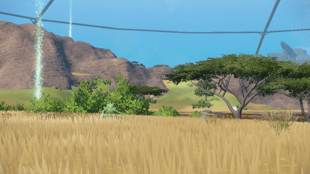 Savanna Biome 1