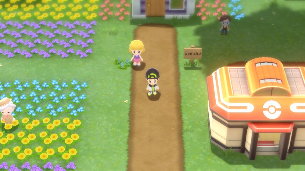 Floaroma Town 1