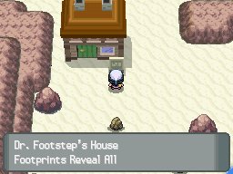 Footstep House 2
