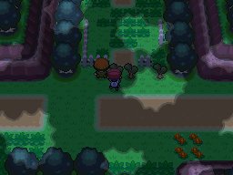 Eterna Forest 3