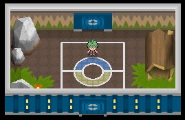 Pokémon League 9