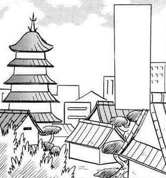 Ecruteak City 19