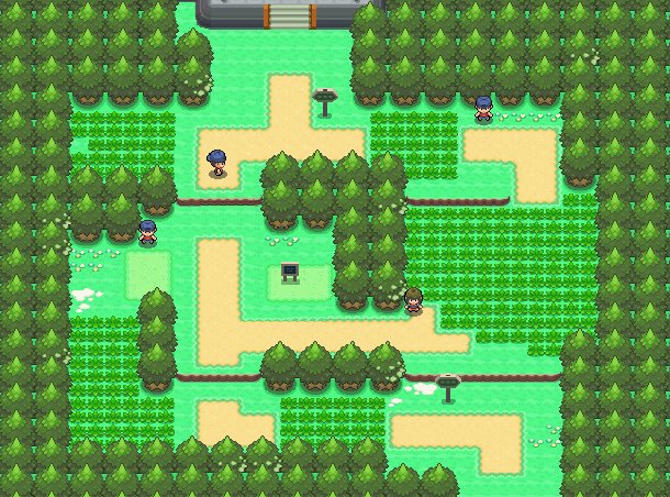 Route 202 3