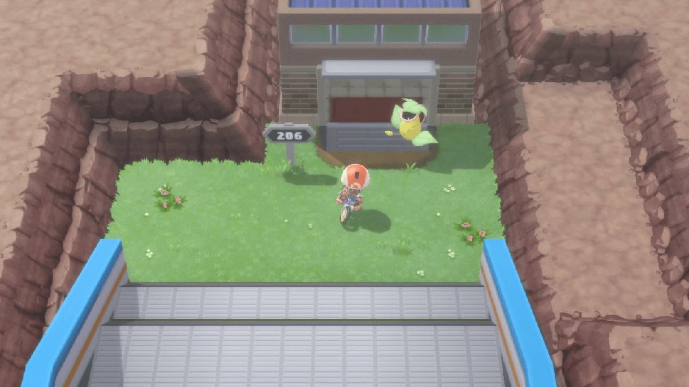 Route 206 1
