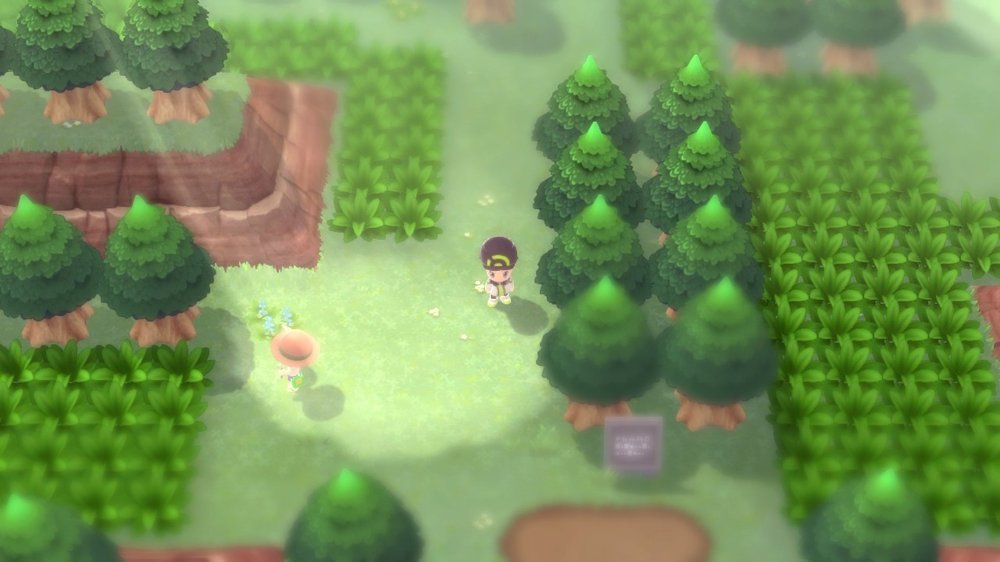 Eterna Forest 9