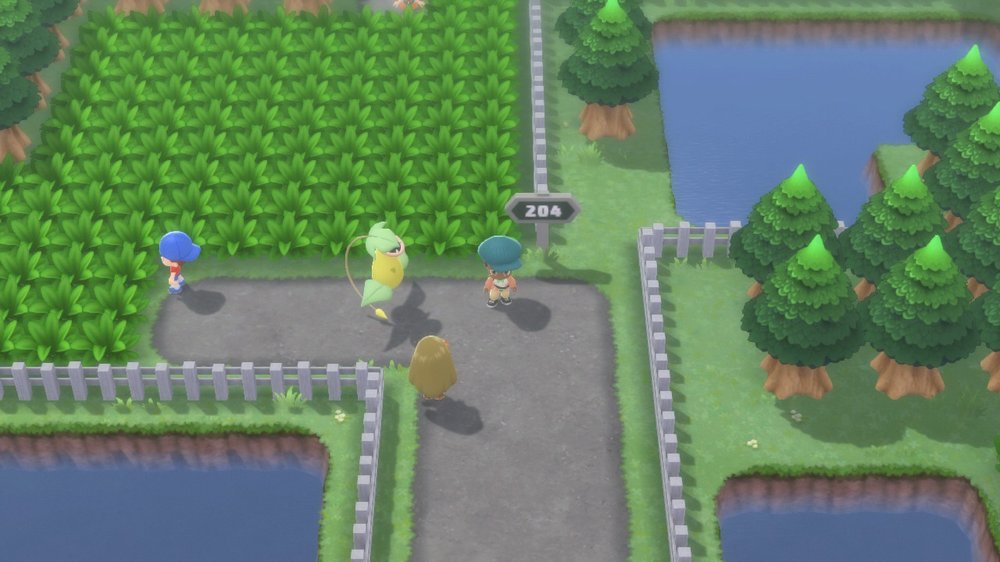 Route 204 1