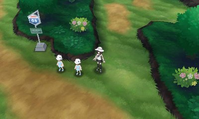 Route 5 1
