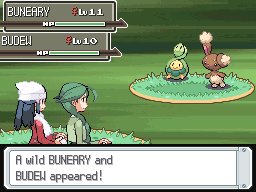 Eterna Forest 4