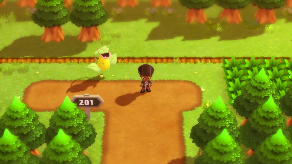 Route 201 1