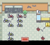 Cerulean City 7