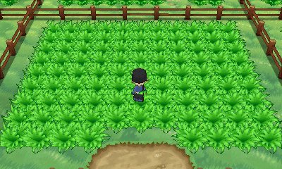 Friend Safari 4