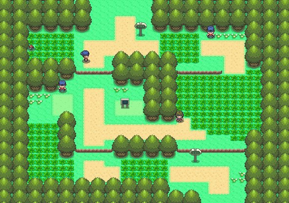 Route 202 2