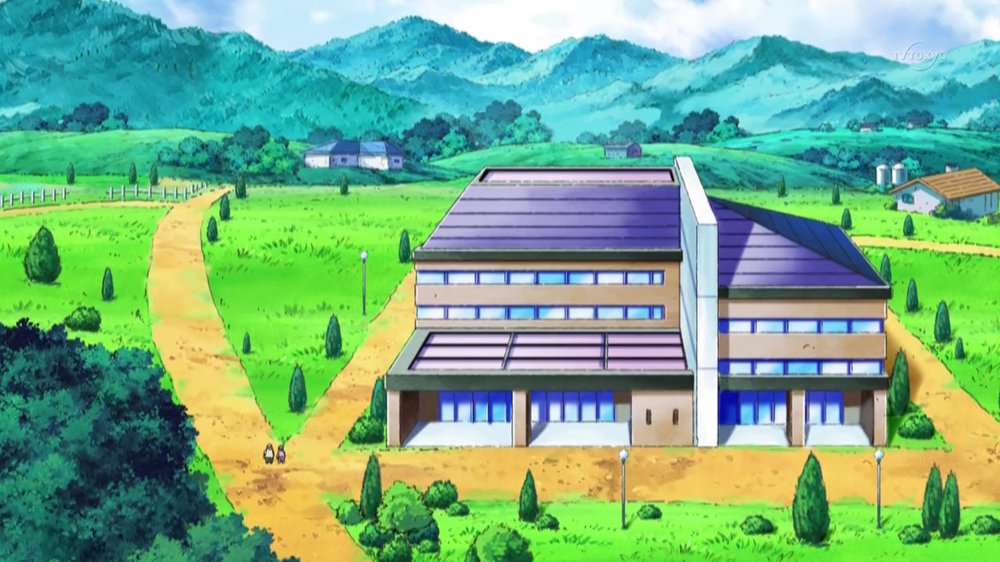 Twinleaf Town 9