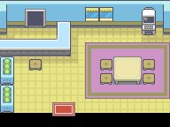 Pokémon Day Care 9