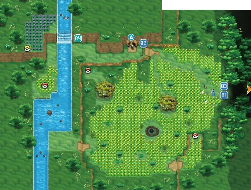 Pokémon Village 1