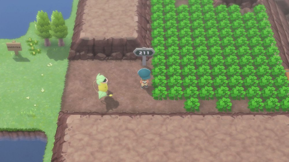 Route 211 1