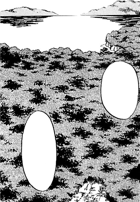 Petalburg Woods 5