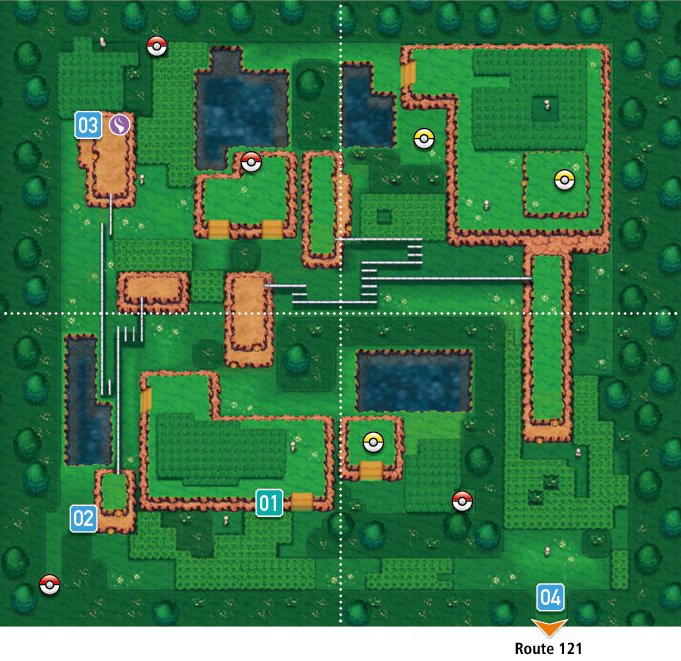 Safari Zone 1