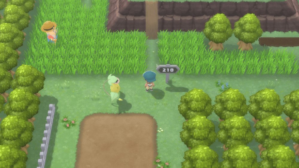 Route 210 1