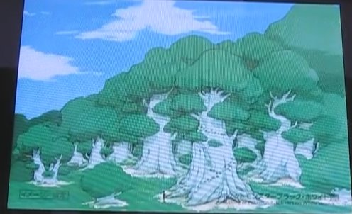 White Forest 6