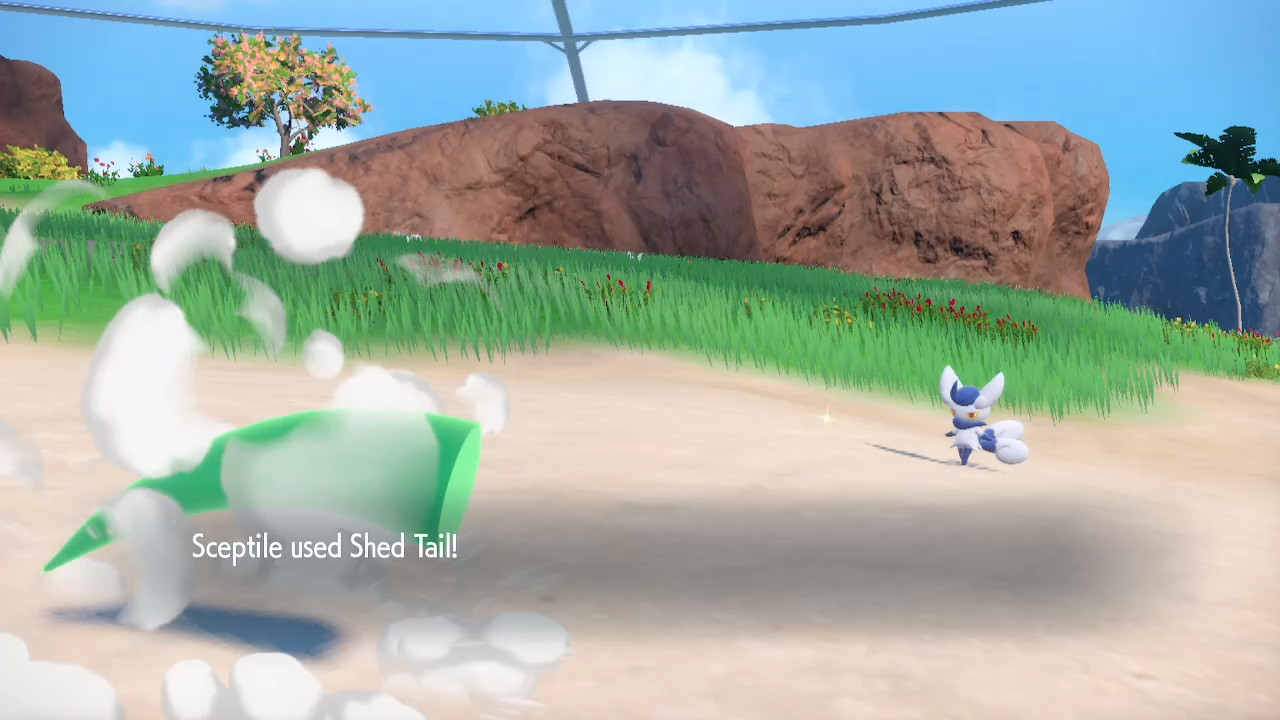 Shed Tail animation