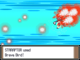 Brave Bird animation