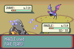 Fake Tears animation